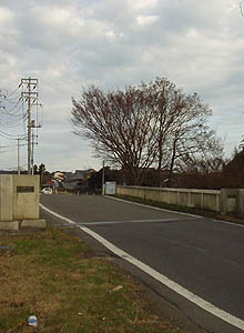 中井川橋