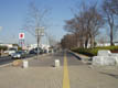 県庁前歩道